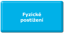 Fyzické postižení Fyzické postižení