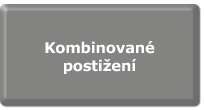 Kombinované postižení Kombinované postižení