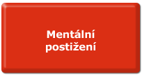 Mentální postižení Mentální postižení