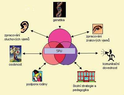 Diagram specifických poruch učení