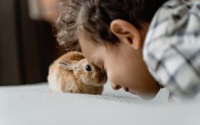 Animoterapie aneb jak nás mohou léčit zvířata