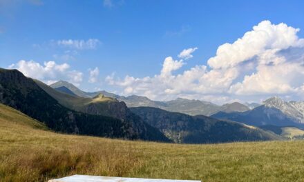 Neformální péče v Česku a Rakousku: Výzvy, trendy a řešení z Evropského fóra Alpbach 2025
